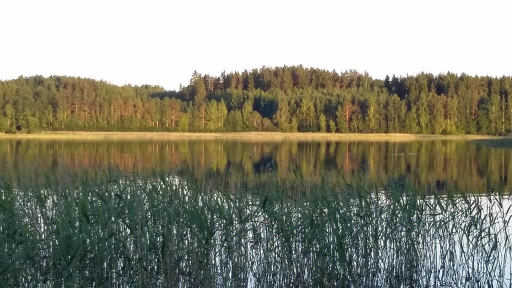 Lakehouse Saimaa B&B Taipalsaari Exterior foto